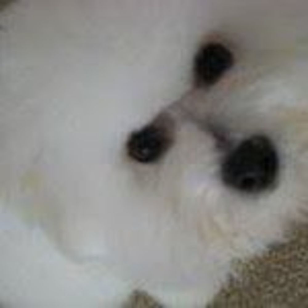 Meet your Posher, Rebekah